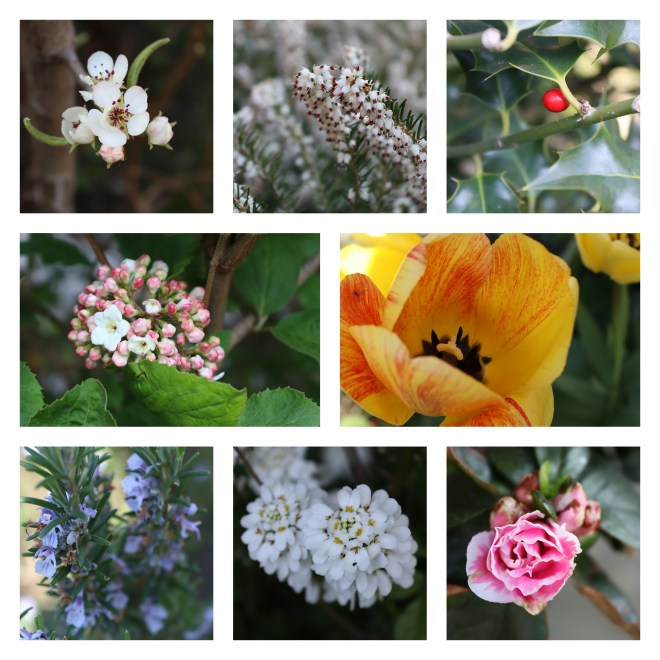 pixlr_20200408162951813