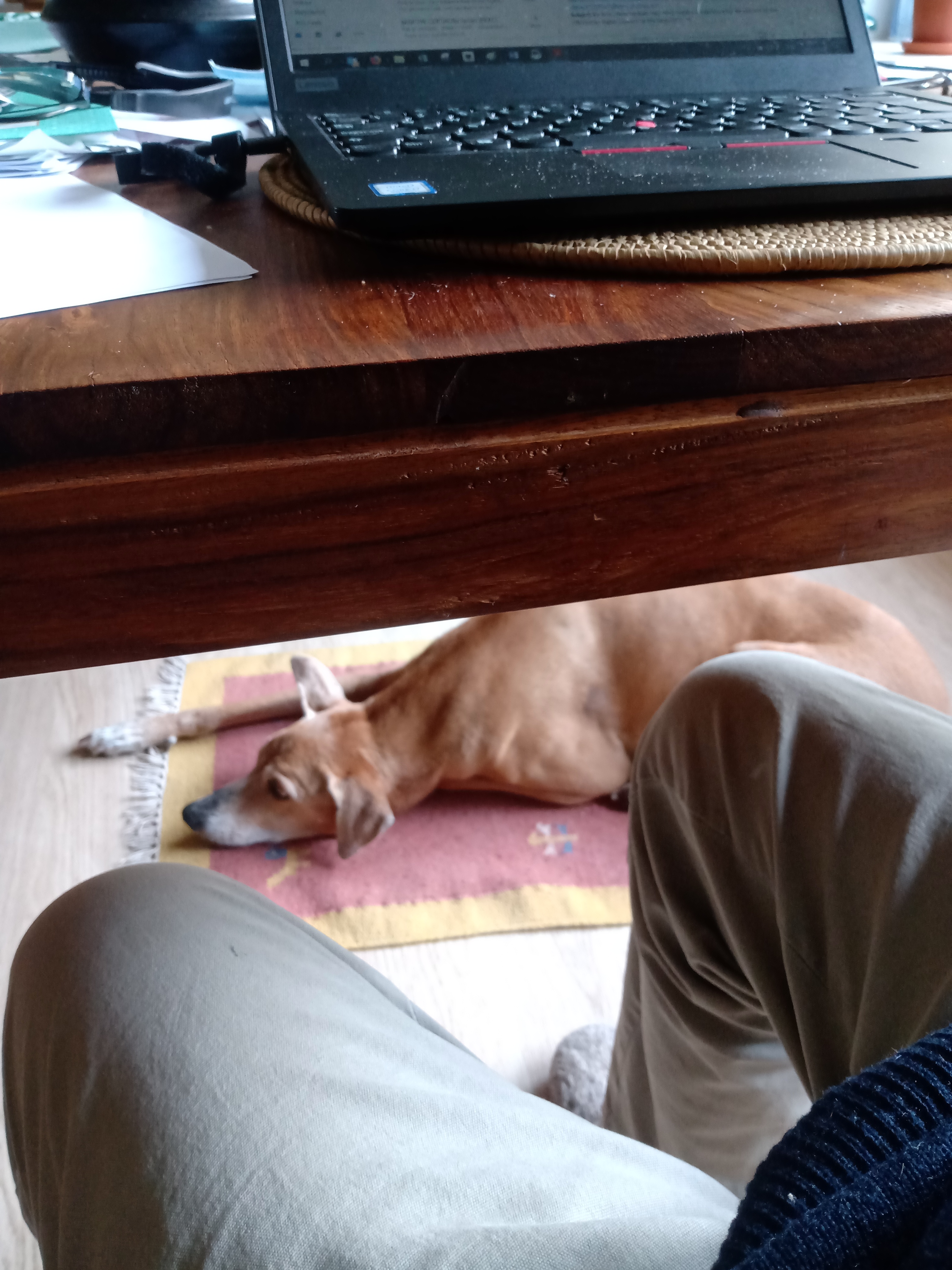 IMG_20200612_104141015